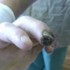 Image for article titled Krokodil: Russia's Designer Drug That Will Eat Your Flesh